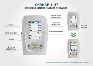 СКЭНАР-1-НТ (исполнение 01)  в Магадане купить Скэнар официальный сайт - denasvertebra.ru 