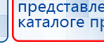 СКЭНАР-1-НТ (исполнение 01)  купить в Магадане, Аппараты Скэнар купить в Магадане, Скэнар официальный сайт - denasvertebra.ru